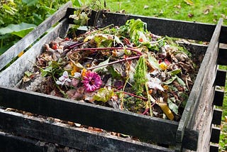 Zero Waste Kitchen Fail