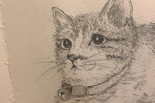 Rest Easy Little Soul; A Memoir to My Po