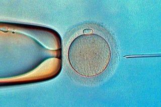 Microinjeção de DNA uma técnica do passado ?