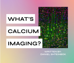 What’s calcium imaging?