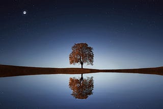Navigating the Future of Work, Sensemaking, and Co-Existence