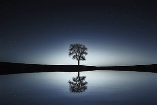 Reflections in Solitude