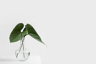 Simplify everything and success will come to you
