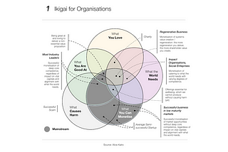 Planetary Ikigai: What business and sustainability leaders need to grasp?