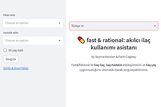 Şekil 1. Fast&Rational web uygulaması ara yüzü