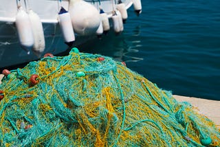 A Pillar of Seafood Security is Traceability (and its future isn’t bright)