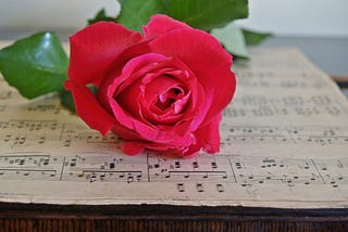 Sentimental Serenade