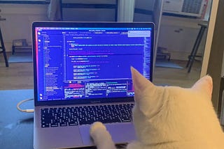 Reactivity: Why Vue Feels Intuitive & Angular Feels Like a Puzzle to Solve