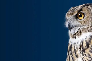 Cybersecurity Industry OSINT: Advantages of Being a Night Owl