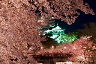 Conheça o Hanami, tradicional ritual de apreciação das cerejeiras no Japão