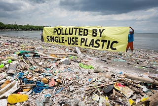 Say Bye to Traditional Plastics with Bioplastics