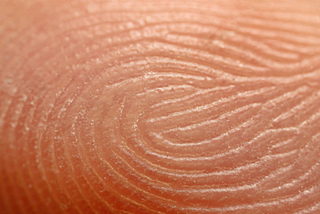 Fingerprint Forensics Science