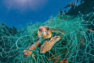 Plastic Pollution is Not the Ultimate Ocean Solution