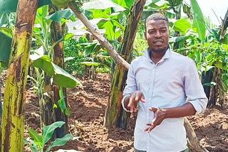 ✍️ BANANA PLANTATION SET-UP SERVICES 
Get your banana garden set up and planted by professionals!