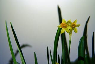 January