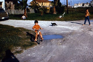 Three children play in front of a house at the end of a shell road.