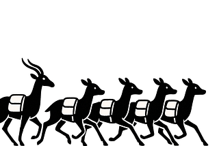 The Race