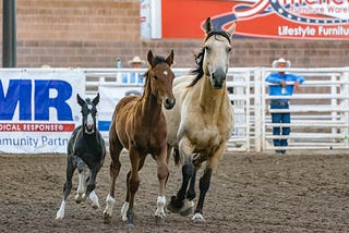 Three horses.