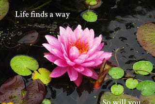 To be optimistic about life.