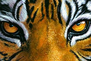 The Eye of the Tiger