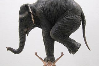 Elefante na cabeça