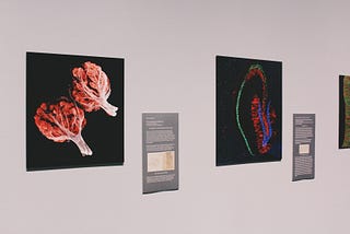 8 sujets que devraient explorer tous les designers