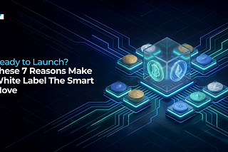 White Label ICO Platform Development: A Faster Route to Market-Ready Token Sales