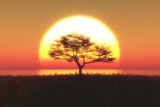 O Convite do Entardecer