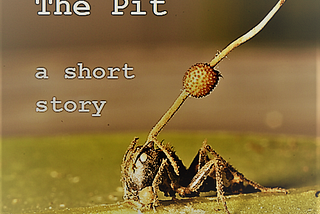 The Pit (a short story)
