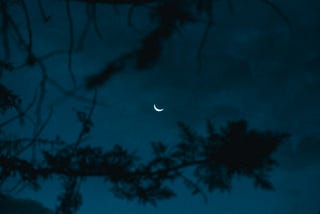 The Sleepless Waker