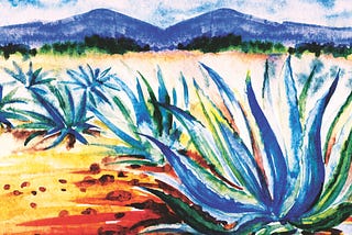Brick by Brick: More Than Just Tequila