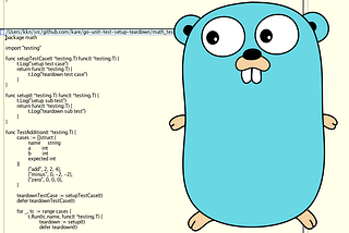 Go unit test setup and teardown