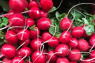 Red Radish