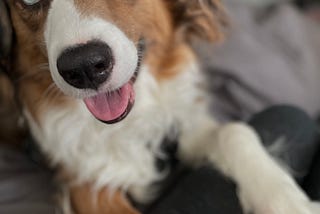 Murphy Is The “One”
