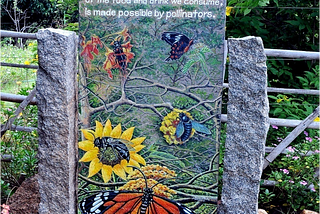 How to set up your own Butterfly Garden….
