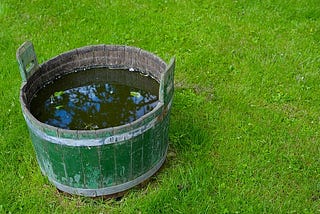 The Bucket, Spring Flash Series