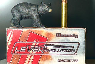 A Bear Hunting Quandary