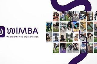 WIMBA: Breaking the Mold on Pet Orthotics