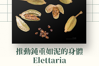 讓過度躁動的能量平靜、推動拖懶如泥的沉重身體。