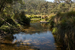 The river.