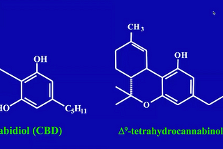 The story of the Endocannabinoid System: The byproduct of discovering THC