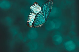 Be the Change You Want