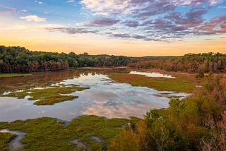 Protecting Wetlands from Pollution and Politics