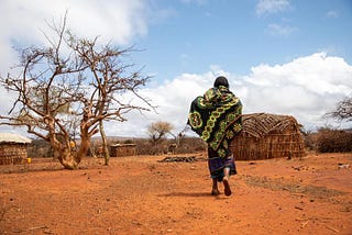 WFP Regional Bureau for Eastern Africa at COP27