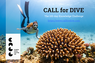 CALL for DIVE #1: How to frame your Creative Space?