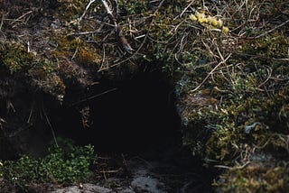 Rabbit Hole