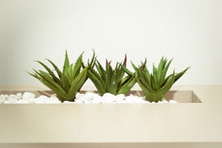How to use aloe vera for weight loss