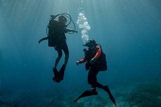 Professional Association of Diving Instructors Conservation Efforts