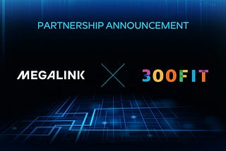 Megalink and 300FIT Form Strategic Partnership!