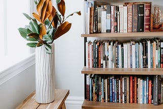 A bookshelf filled with books and a plant in a white vase, set on a bright white background with a bright window